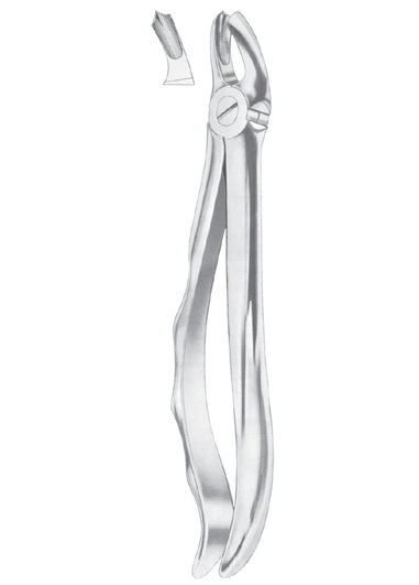 Extracting Forceps English Pattern